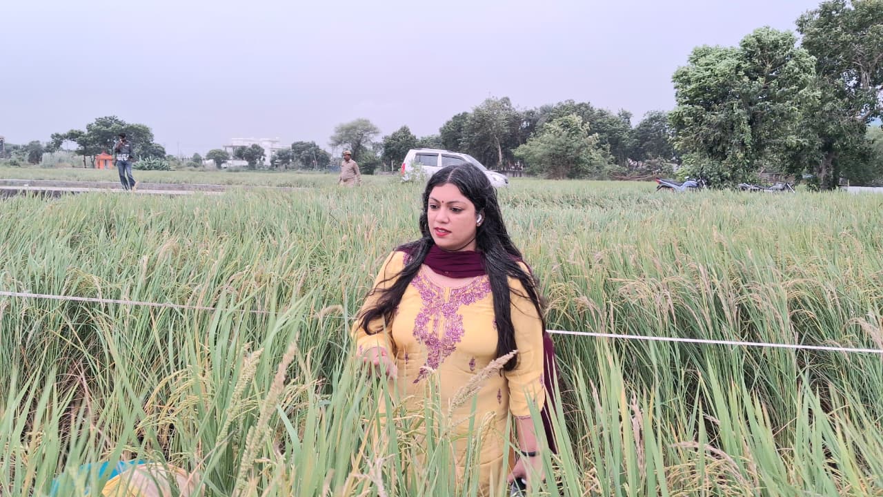 जिलाधिकारी ने तहसील सदर के ग्राम गिरधरपुर में धान फसल की क्रॉप कटिंग का किया स्थलीय निरीक्षण*