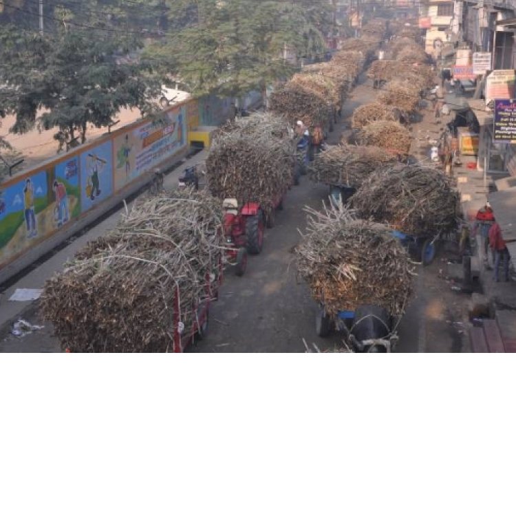 अपर दोआब शुगर मिल का पेराई सत्र समाप्ति की ओर जाने से मिल में गन्ना लेकर पहुंचने वाले किसानों की संख्या अचानक बढ गई है