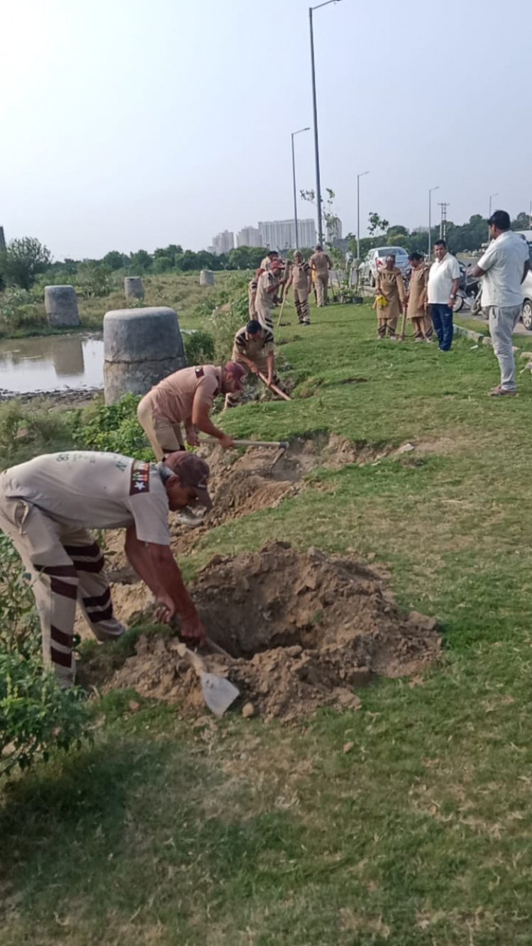 डेरा सच्चा सौदा के सेवादारों ने वृक्षारोपण कर संत डॉक्टर गुरमीत राम रहीम सिंह इन्सां का मनाया जन्मदिन