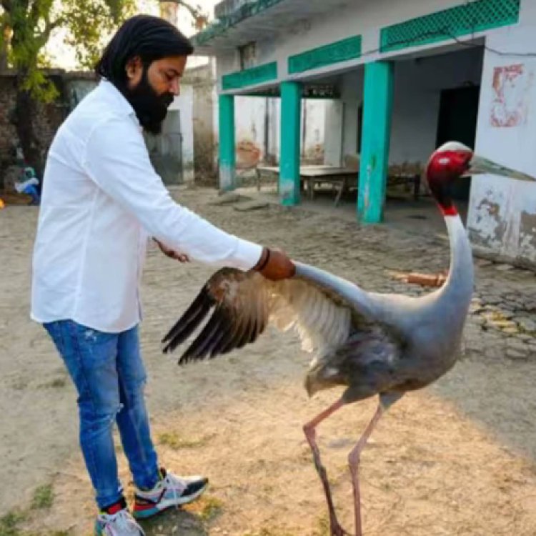 सारस से दोस्ती कर चर्चा में आए आरिफ की मुश्किलें बढ़ी : वन विभाग ने जारी किया नोटिस