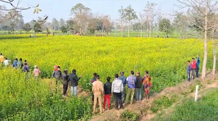 बुकलाना के जंगल में दिखा तेंदुआ