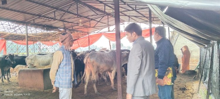 नवागंतुक खंड विकास अधिकारी ग्राम टीहर में गौशाला का किया औचक निरीक्षण  साफ सफाई के दिए निर्देश