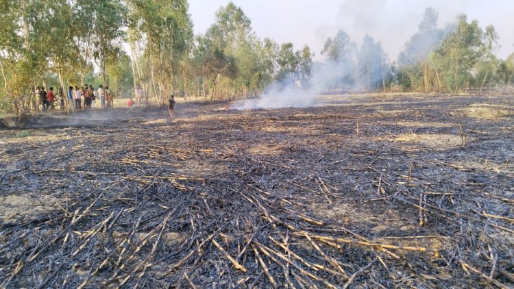 थाना रिसिया दो एकड़ मक्के की खड़ी फसल जलकर खाक