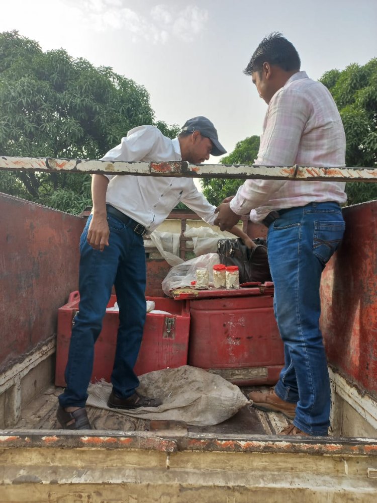 कस्बा गुलावठी में चल रहा था गोरख धंधा-भारी मात्रा में दूषित पनीर बरामद