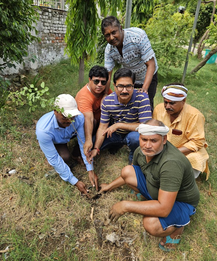 एक पेड़ मां के नाम एक नयी और प्रेरणादायक पहल है