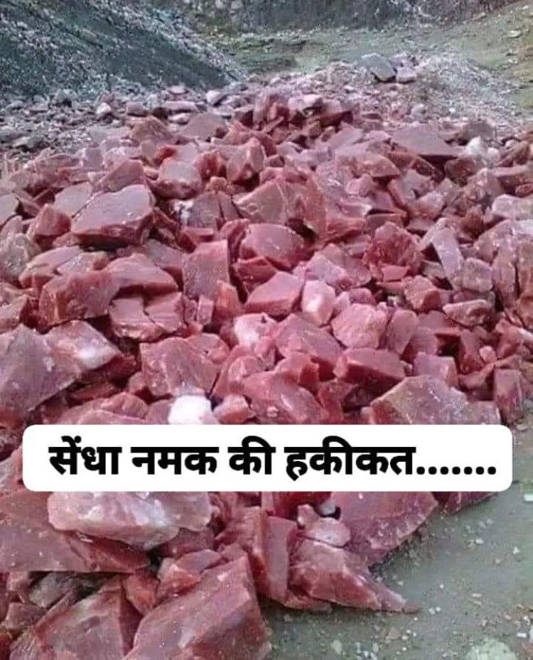 सेंधा नमक के साथ इन अंग्रेजो ने कैसे किया था खिलवाड़