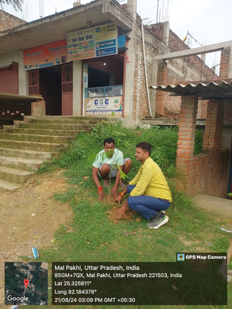 एक पेड़ माँ के नाम अभियान के अंतर्गत सीएससी द्वारा वृक्षारोपण