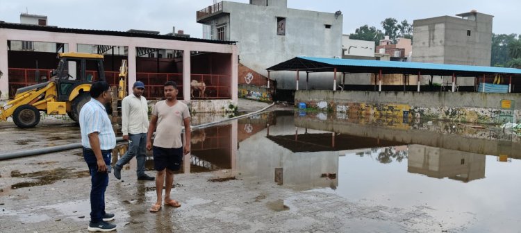 नगर पालिका अधिशासी अधिकारी ने किया गौशाला का निरीक्षण