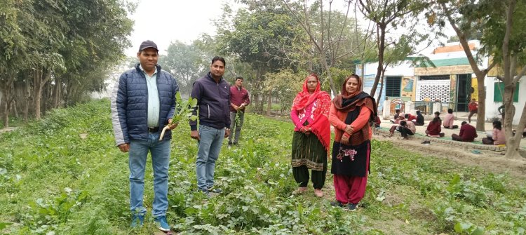 प्राथमिक विद्यालय में जैविक खेती के तहत उगाई जा रही सब्जियों से मिड डे मील का लाभ ले रहे छात्र