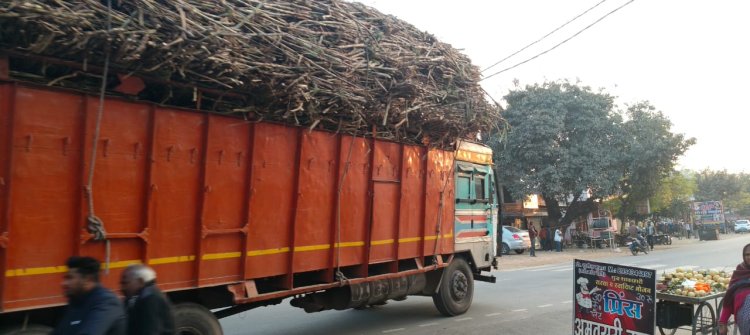 सड़कों पर फर्राटा भर रहे गन्ने से भरे ओवरलोड वाहन