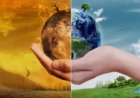 Global warming पृथ्वी पर जीवन के लिए खतरा है बढ़ता वैश्विक तापमान