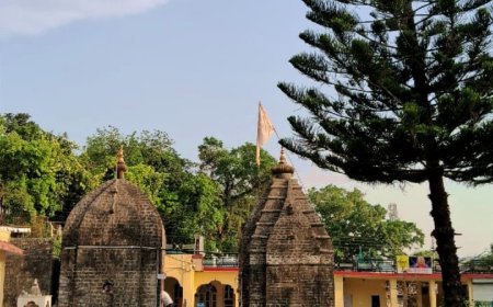 बाबा बालक नाथ सिद्ध पीठ के पीठाधीश्वर श्री धीरज महाराज के जन्म स्थान पर धार्मिक आयोजन