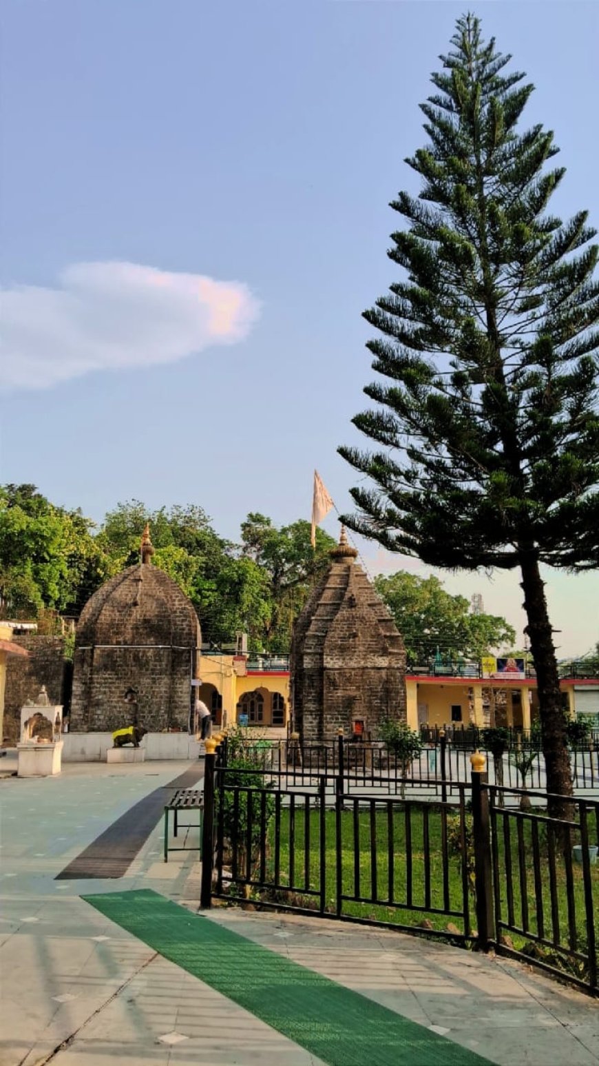 बाबा बालक नाथ सिद्ध पीठ के पीठाधीश्वर श्री धीरज महाराज के जन्म स्थान पर धार्मिक आयोजन