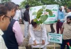 CEO राकेश सिंह के नेतृत्व मै ‘एक पेड़ माँ के नाम’ अभियान के तहत यमुना प्राधिकरण ने चलाया व्यापक वृक्षारोपण अभियान