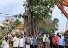 UP बुलंदशहर पुरुषार्थ समिति ने बचाई नगर की धरोहर, वर्षों पुराने वट वृक्ष को दिया नया जीवन