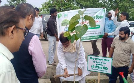 CEO राकेश सिंह के नेतृत्व मै ‘एक पेड़ माँ के नाम’ अभियान के तहत यमुना प्राधिकरण ने चलाया व्यापक वृक्षारोपण अभियान