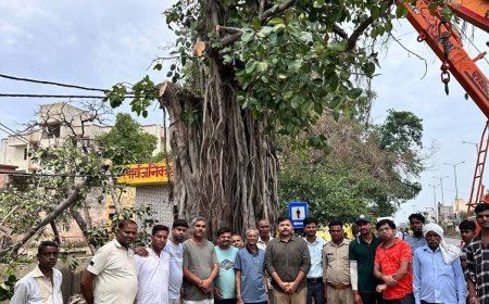 UP बुलंदशहर पुरुषार्थ समिति ने बचाई नगर की धरोहर, वर्षों पुराने वट वृक्ष को दिया नया जीवन
