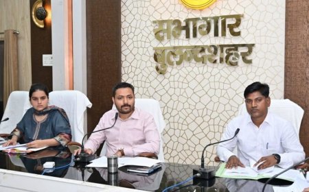 बुलंदशहर :सड़क निर्माण में बाधा पर डीएम सख्त, वन-विद्युत विभाग को 15 दिन का अल्टीमेटम