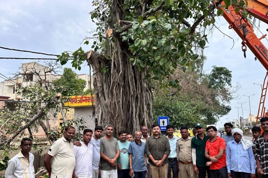 UP बुलंदशहर पुरुषार्थ समिति ने बचाई नगर की धरोहर, वर्षों पुराने वट वृक्ष को दिया नया जीवन